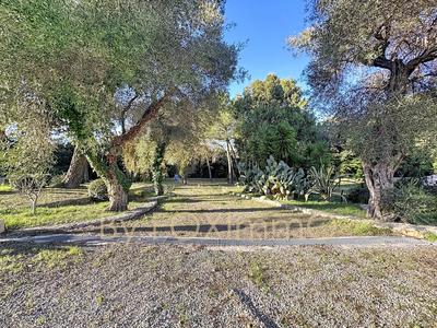 Propriété - 344 m² - 7 pièces