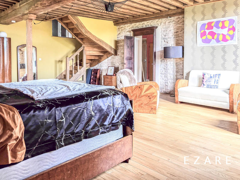 Maison ancienne - 500 m² - 9 pièces