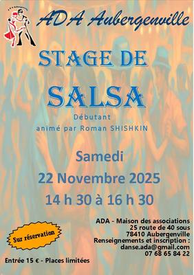 Stage de Salsa