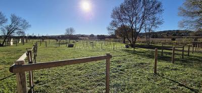 Maison de maîtres - 220 m² - 10 pièces