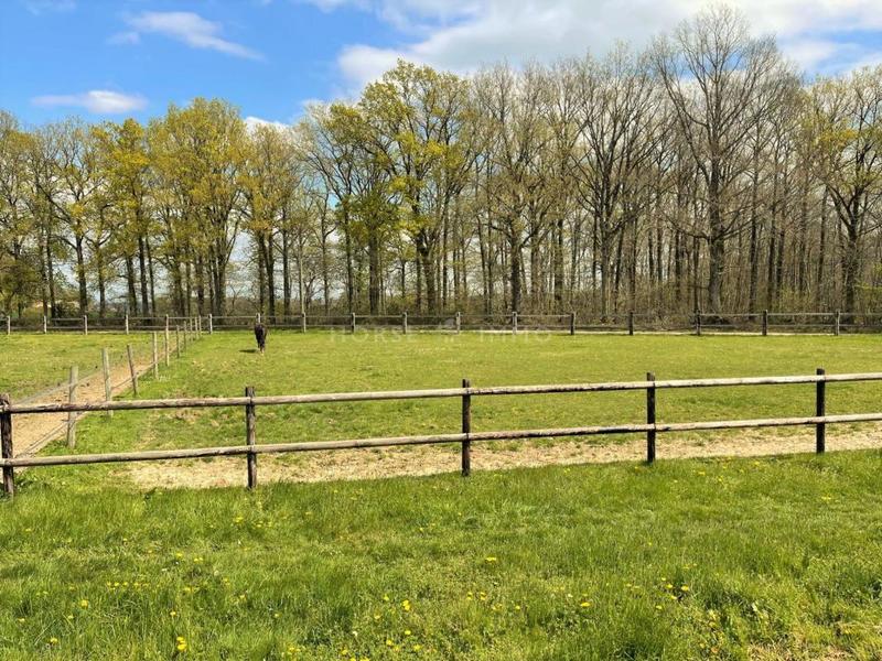 Maison de domaine équestre - 110 m² - 4 pièces