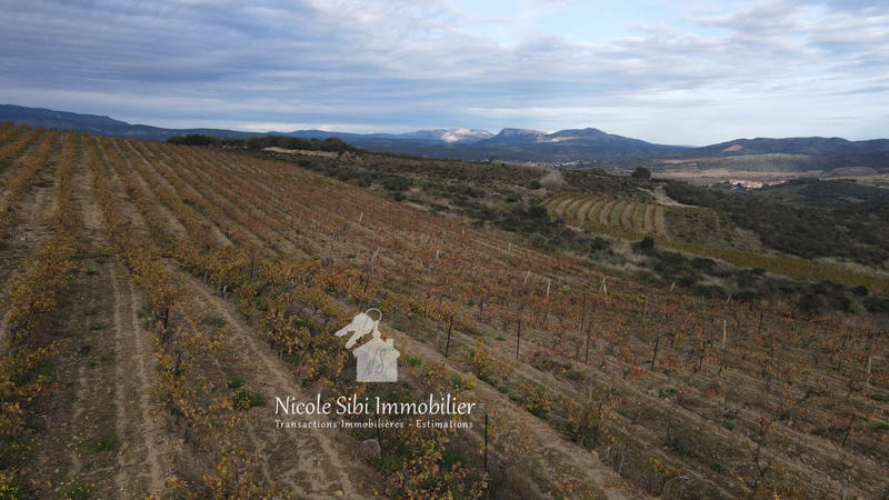 Terrain agricole - 28 875 m²