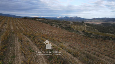 Terrain agricole - 28 875 m²