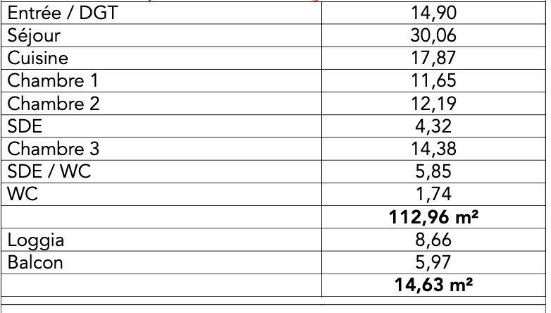 Appartement - 113 m² - 4 pièces