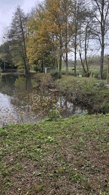 Terrain de loisirs - 2 600 m²