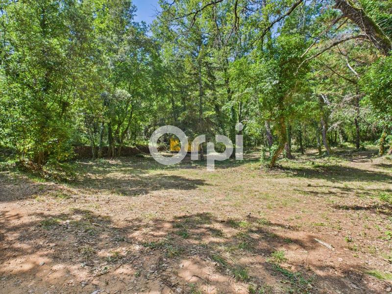 Terrain de loisirs - 3 698 m²