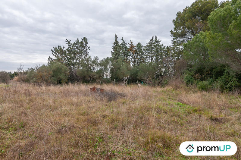 Terrain agricole - 10 601 m²