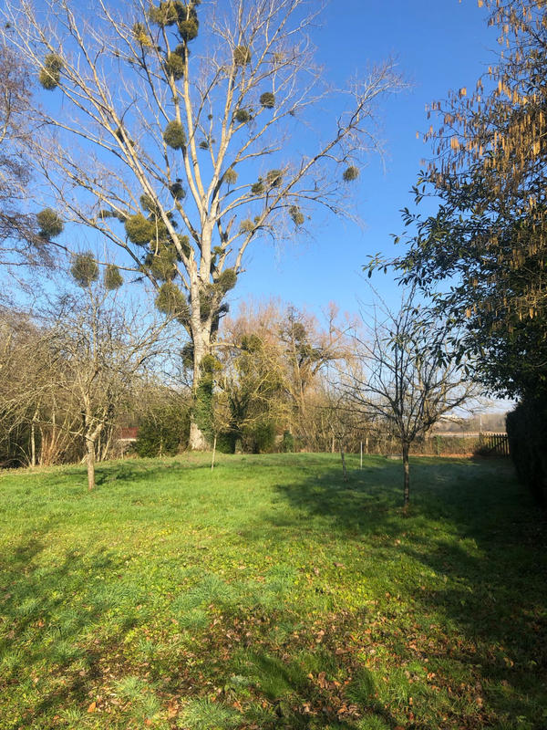 Terrain agricole - 1 200 m²