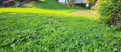 Terrain - 712 m²