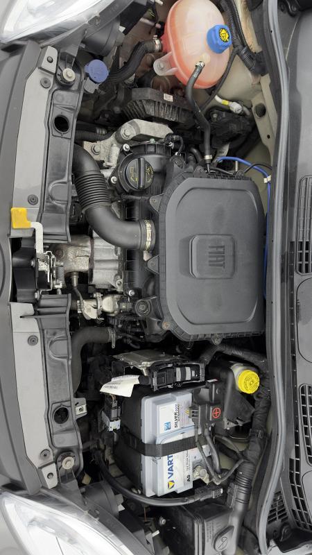 Fiat Panda My21 (Juin 2021) 1.0 70 ch Hybride Bsg s/S City Life