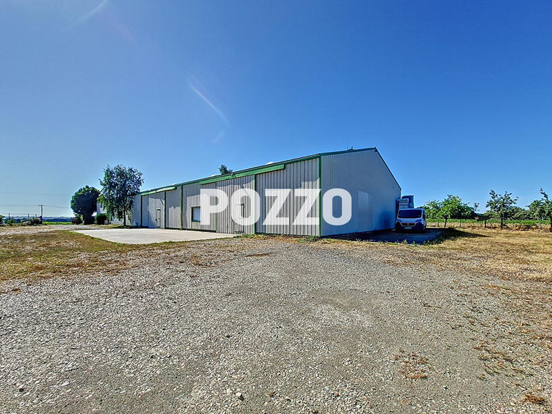 Local d'activité / Entrepôt - 1 200 m²