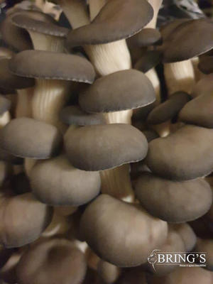 Fonds de commerce - 160 000 m²