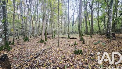 Terrain - 25 548 m²