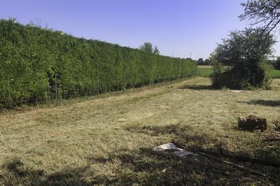 Terrain constructible - 2 294 m²