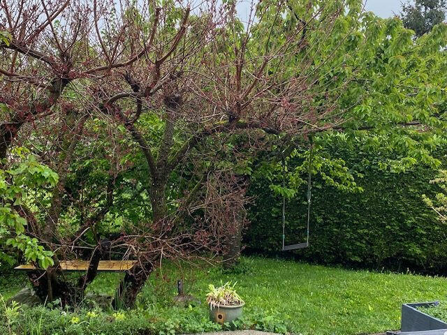 Maison traditionnelle - 112 m² - 5 pièces