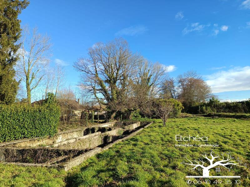 Ferme - 100 m² - 3 pièces