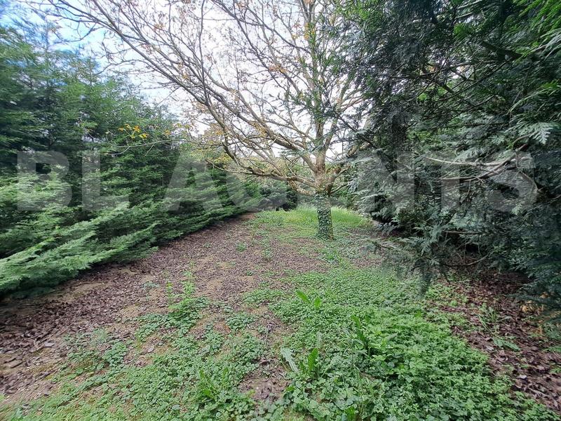 Maison - 275 m² - 8 pièces