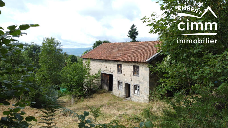 Ferme - 46 m² - 1 pièce