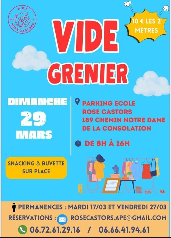 Vide grenier de l'ape rose castors