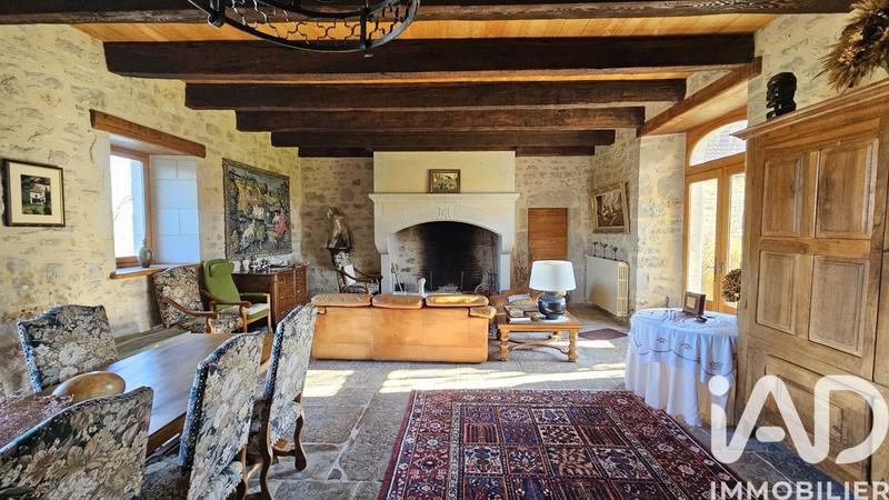 Château - 370 m² - 10 pièces