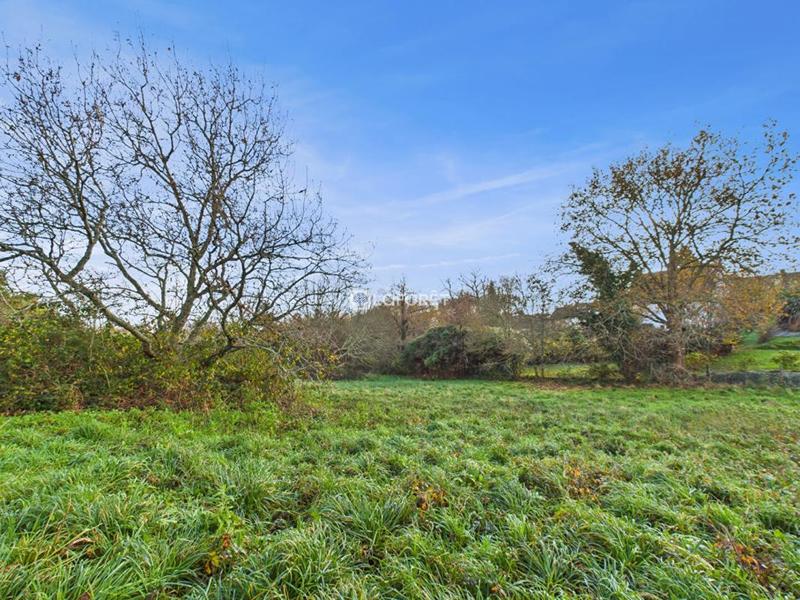 Terrain constructible - 2 132 m²