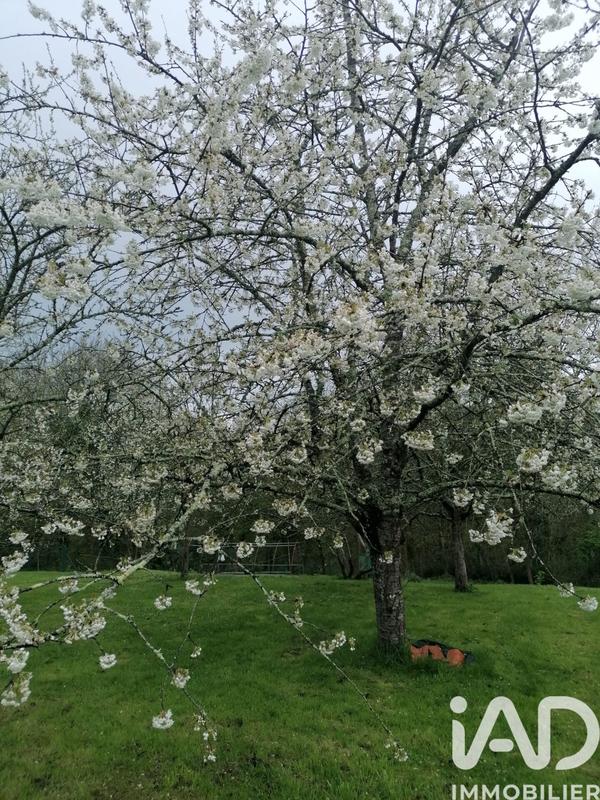 Maison de ville - 384 m² - 15 pièces