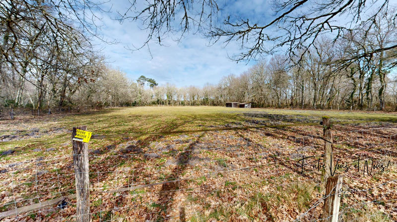 Maison ancienne - 220 m² - 8 pièces