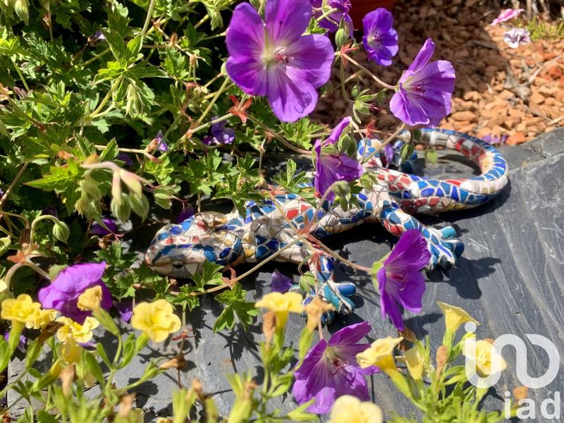 Maison - 123 m² - 5 pièces