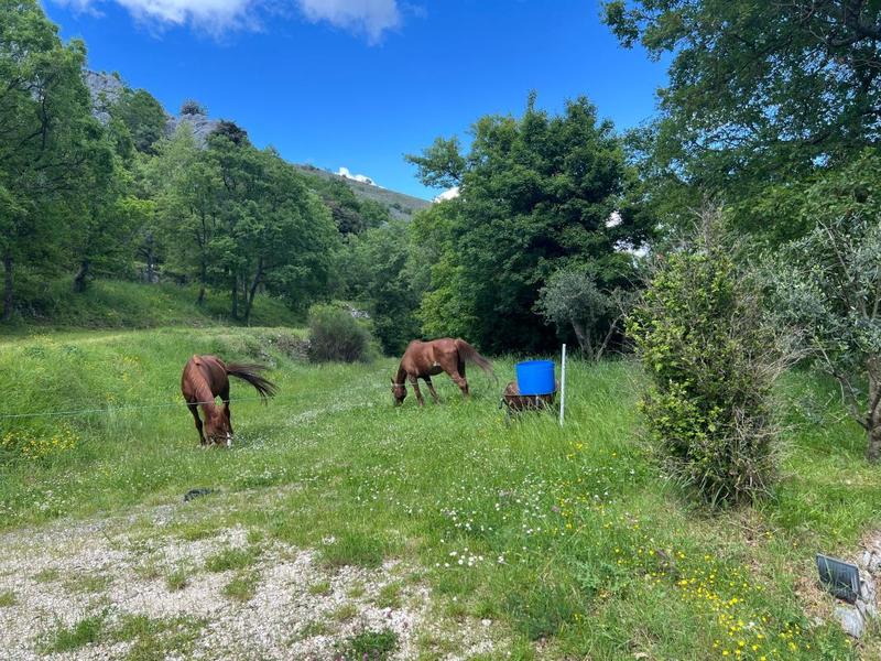 Maison - 222 m² - 5 pièces