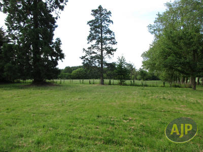 Maison de maîtres - 465 m² - 15 pièces