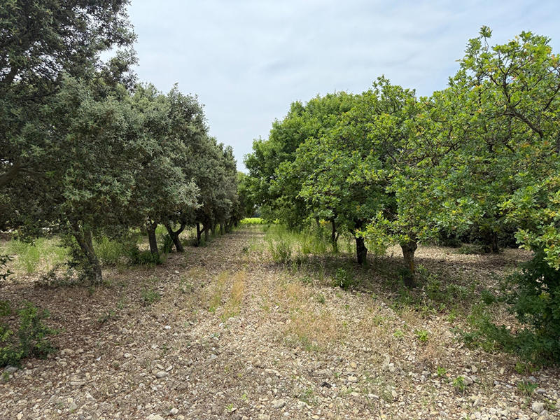 Maison - 154 m² - 7 pièces