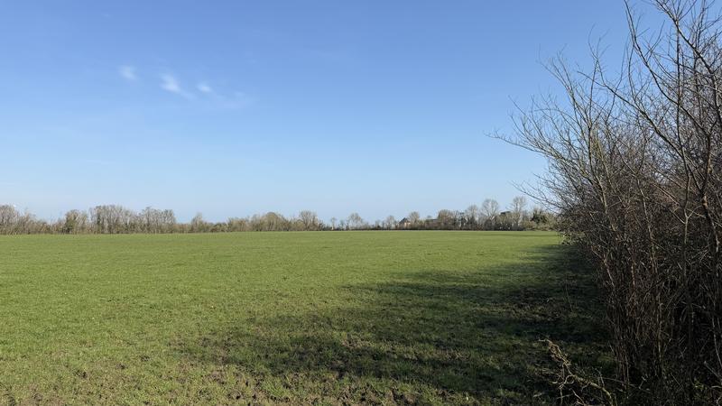 Terrain agricole - 99 298 m²