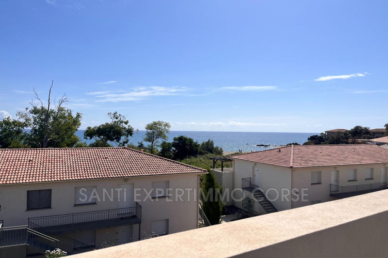 Appartement - 23 m² - 1 pièce