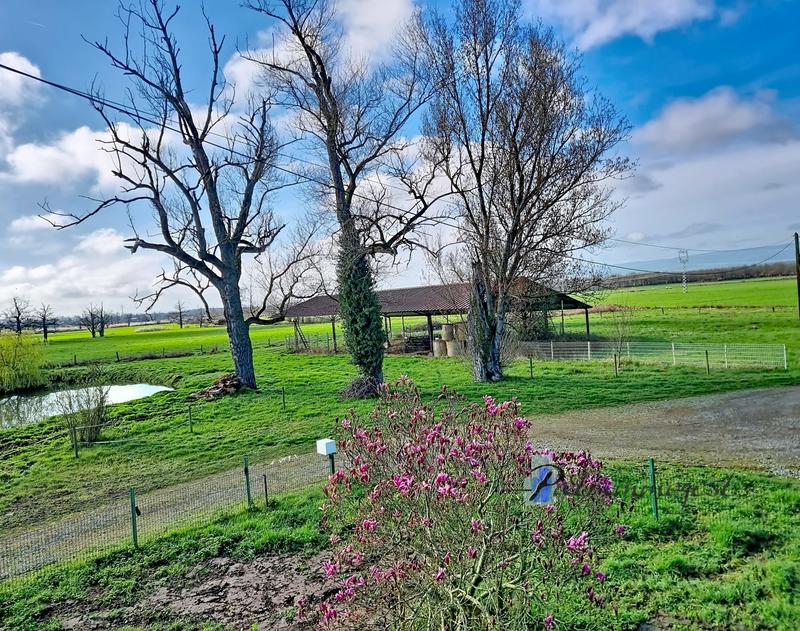 Ferme - 240 m² - 8 pièces