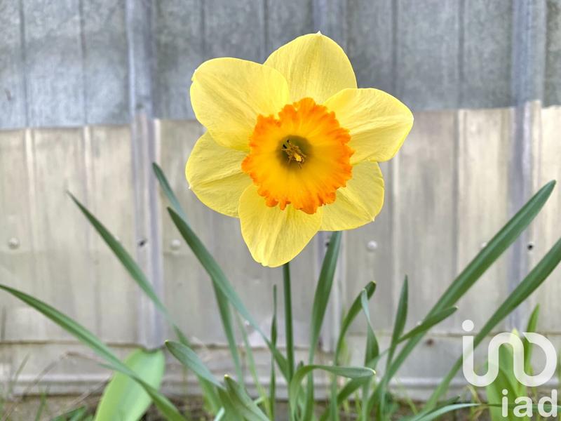 Maison - 62 m² - 3 pièces