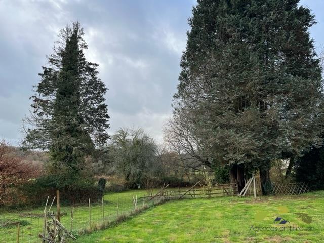 Maison en pierre - 120 m² - 6 pièces