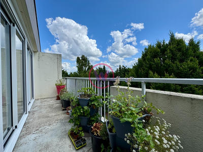 Appartement - 36 m² - 1 pièce