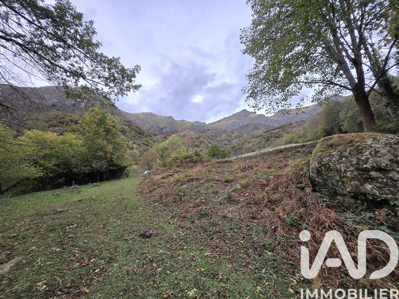 Terrain agricole - 3 915 m²