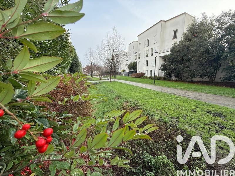 Appartement - 74 m² - 4 pièces