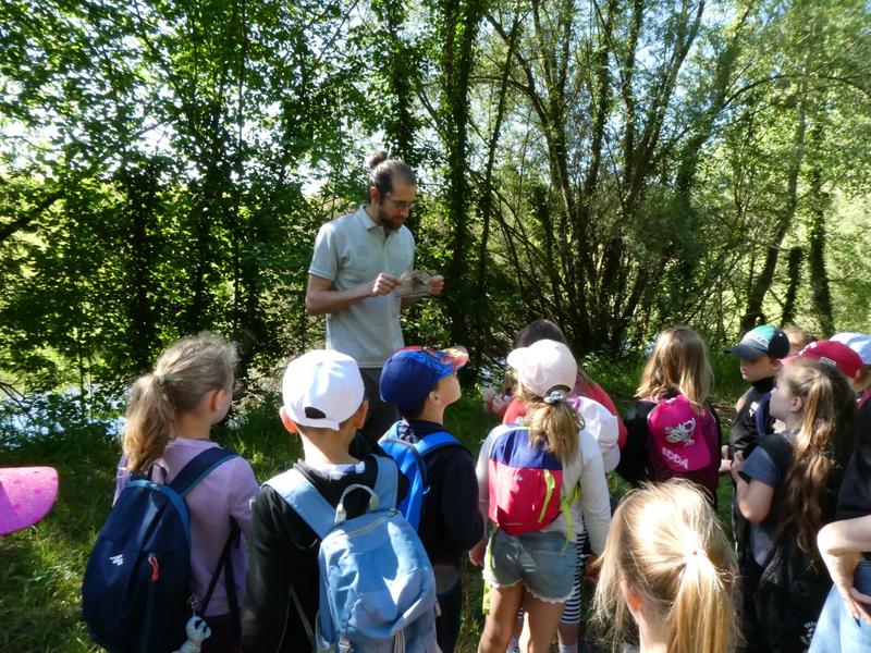 Balade contée dans la petite jungle Alsacienne
