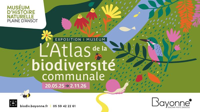 Exposition : l'atlas de la biodiversité communale