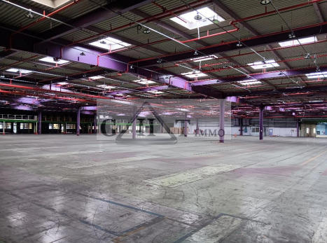 Entrepôt - 25 000 m²
