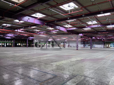Entrepôt - 25 000 m²