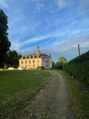 Château - 498 m² - 17 pièces