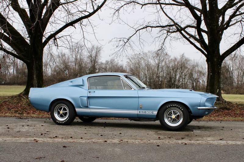 Ford Mustang Shelby Gt 500