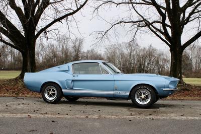 Ford Mustang Shelby Gt 500