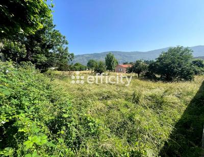 Terrain - 2 397 m²