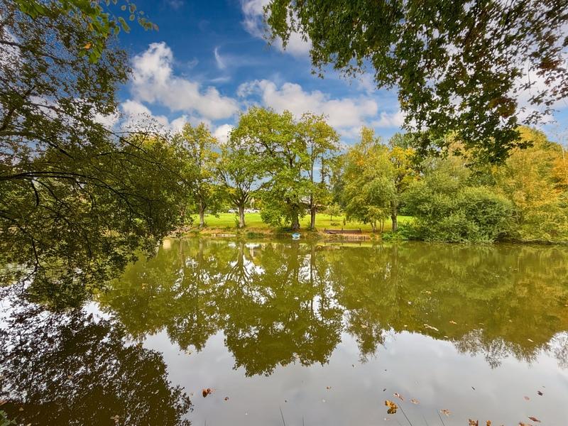 Propriété - 274 m² - 8 pièces