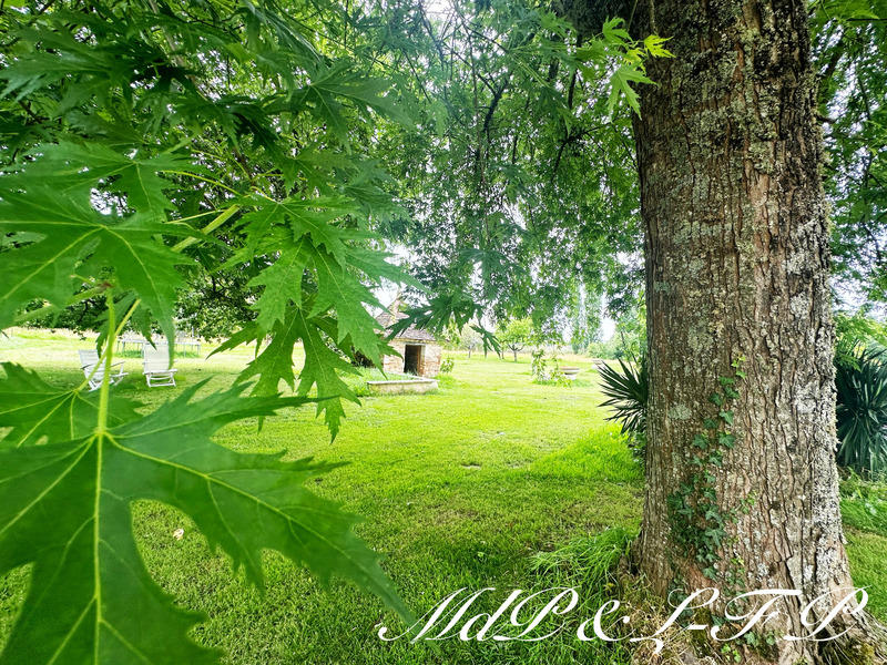 Maison bourgeoise - 700 m² - 19 pièces