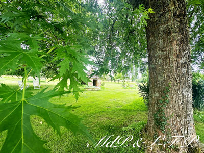 Maison bourgeoise - 700 m² - 19 pièces